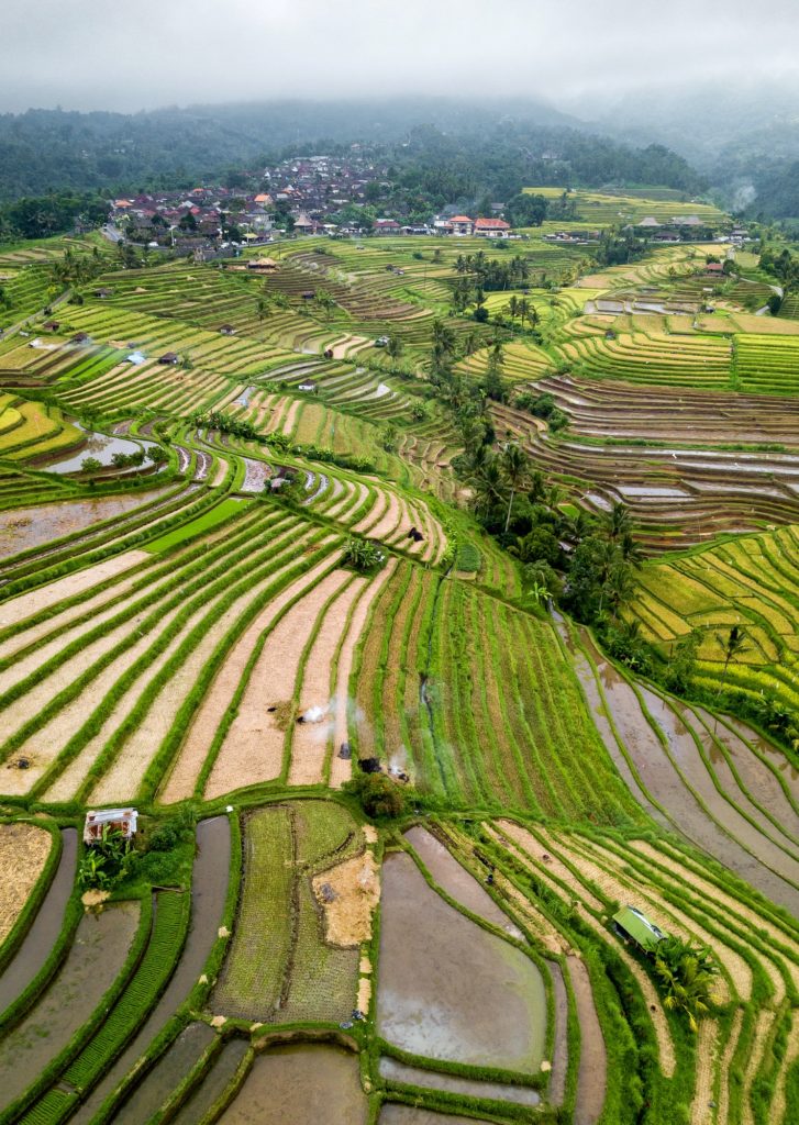 Aerial View Of Rice Terraces