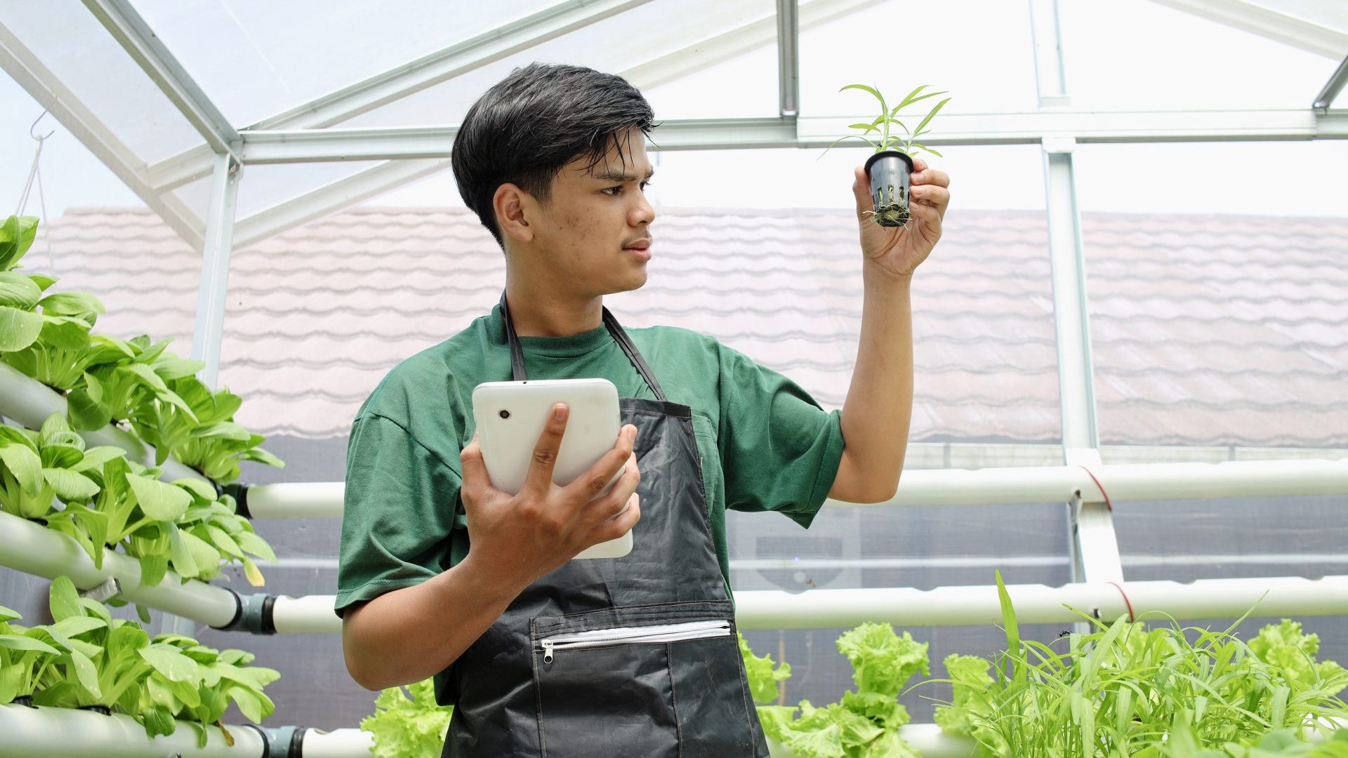 Maintaining hydroponics with technology
