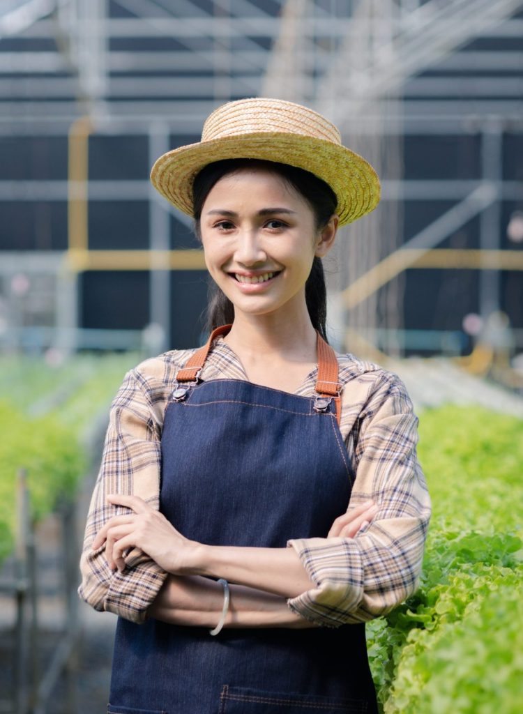 woman in the hydroponic vegetable farm grows wholesale hydroponic vegetables in restaurants and supe