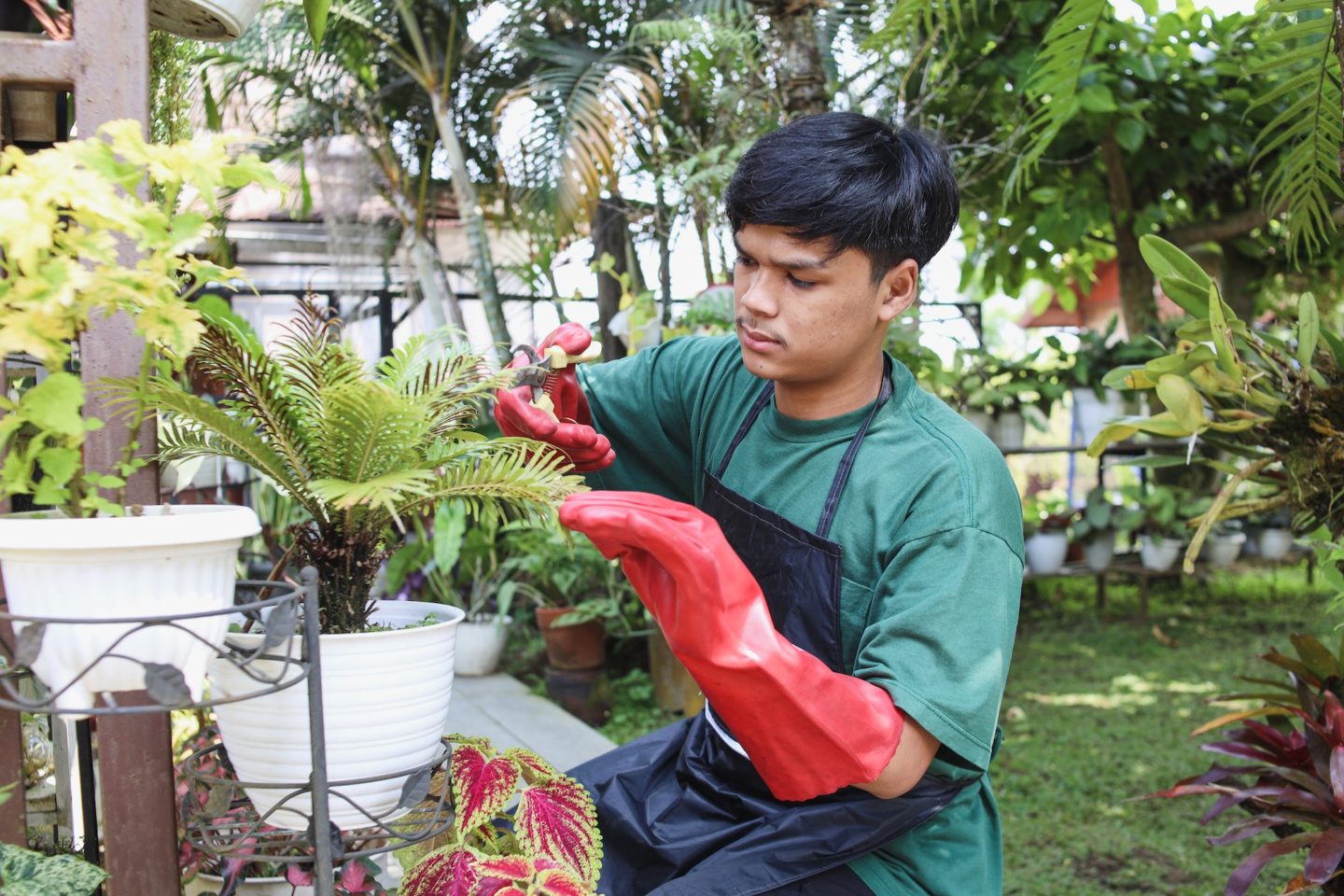 Gardener cutting the plants