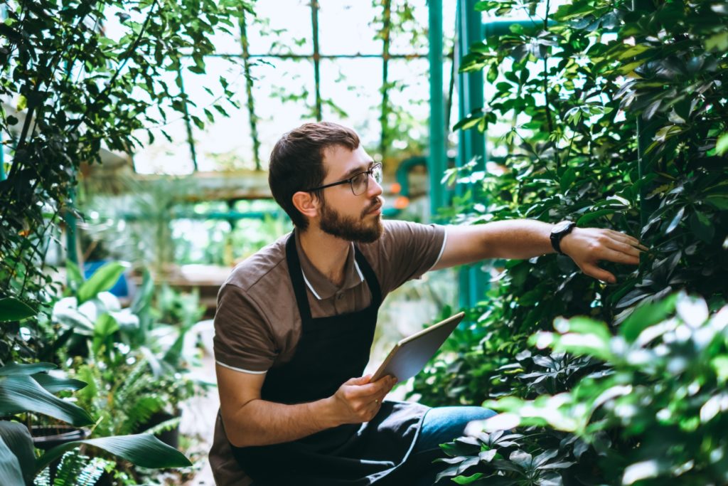 Young man gardener in glasses and apron with digital tablet working in a garden center