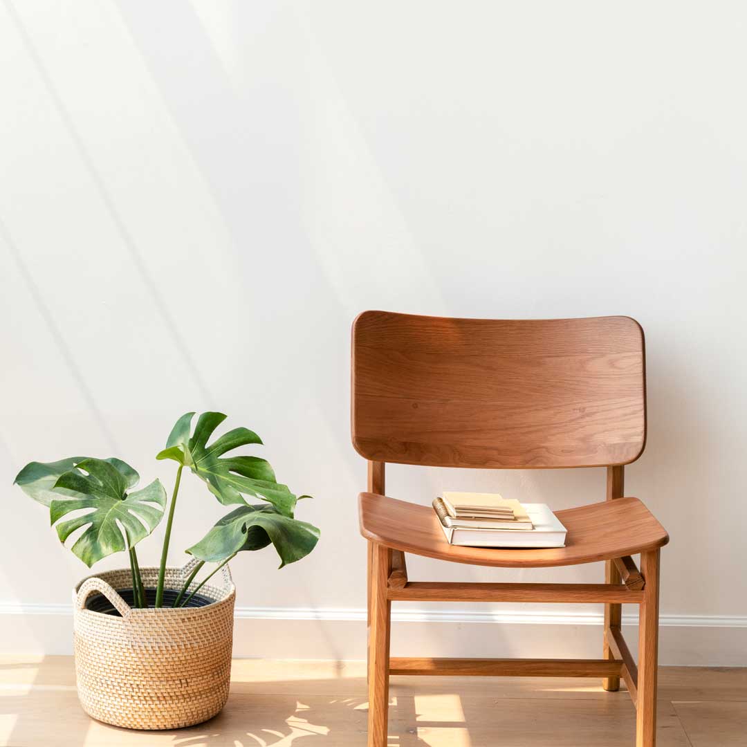 classic-wooden-chair-by-a-monstera-plant-2021-12-09-21-03-24-utc