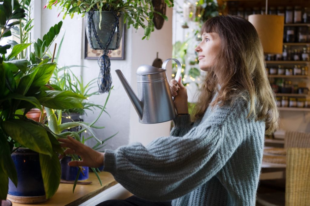 Woman takes care of indoor plants at cozy home.