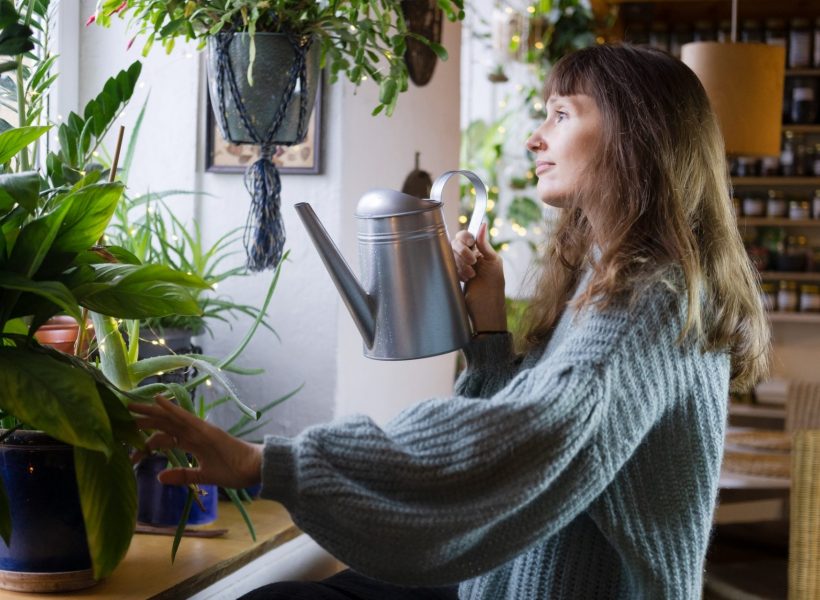 Woman takes care of indoor plants at cozy home.