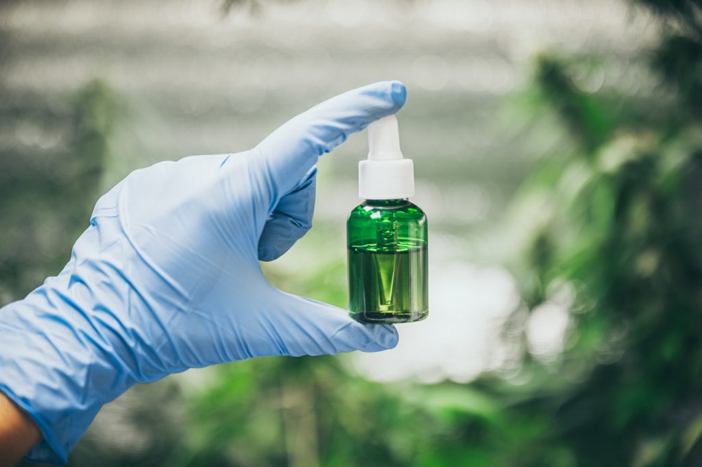 CBD hemp oil, Hand holding bottle of Cannabis oil against Marijuana plant