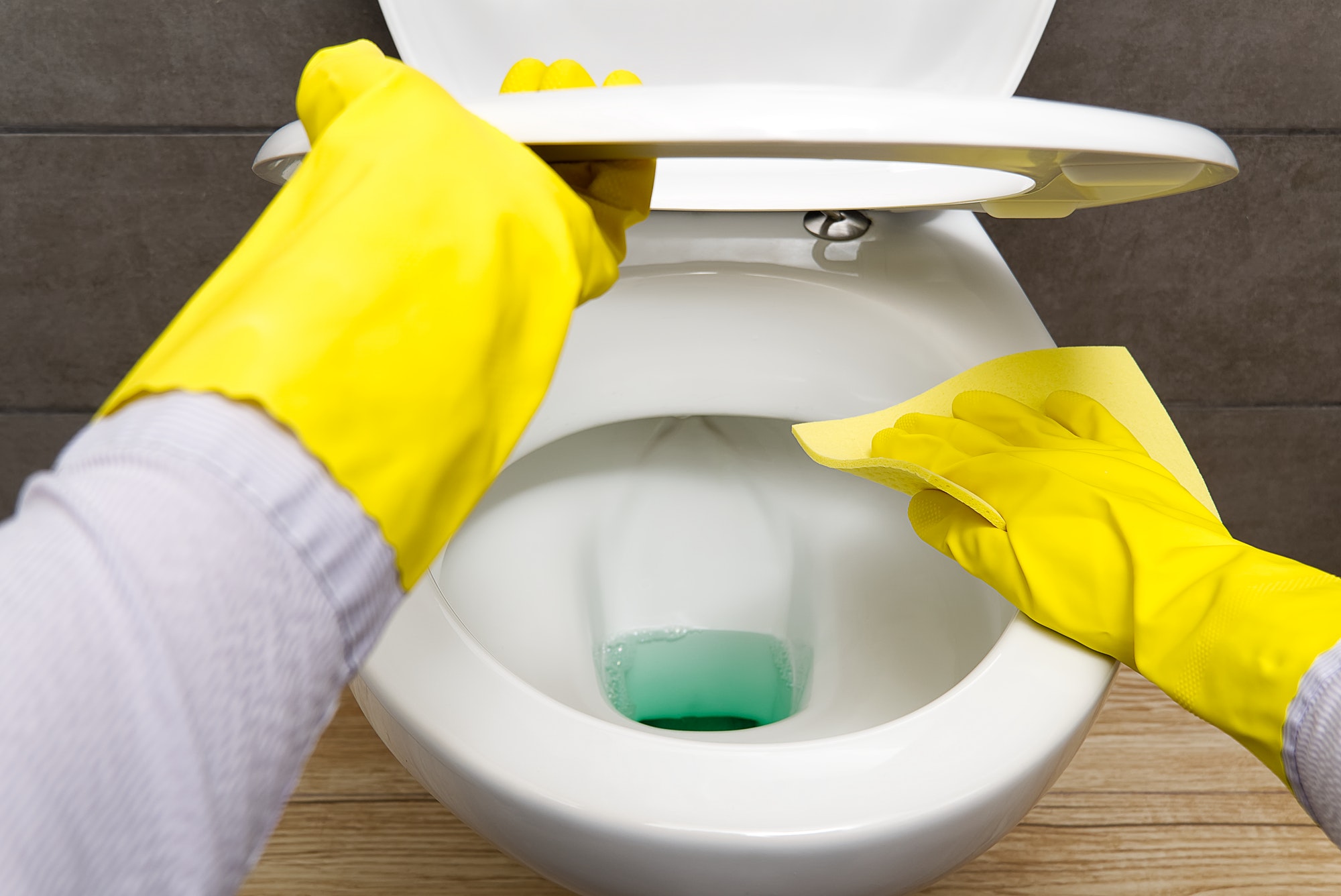 The Secret Of Your Toilet Cleaning