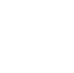 kings brand