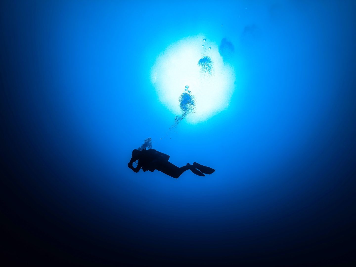Deep diver in blue water
