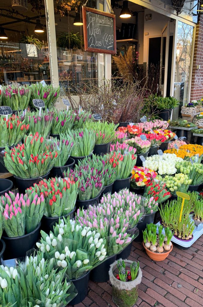 Colorful Tulips in the flower shop