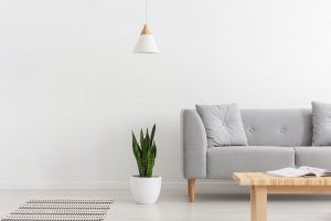 White lamp above green plant in pot next to grey sofa with pillo
