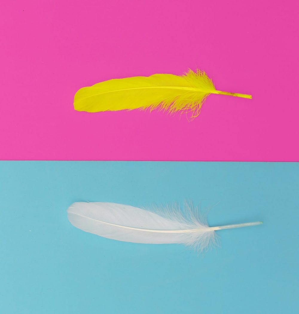 Feathers minimal art design fashion