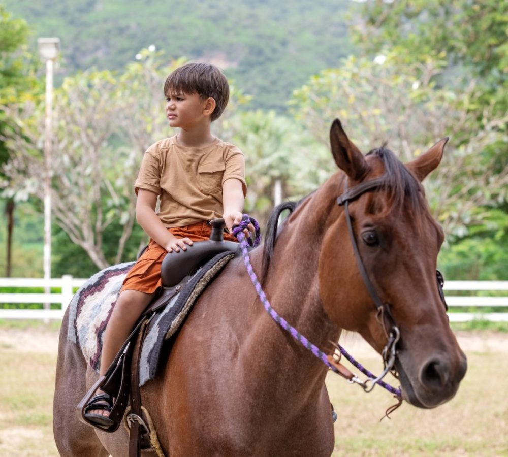 Portrait of little boy riding a horse