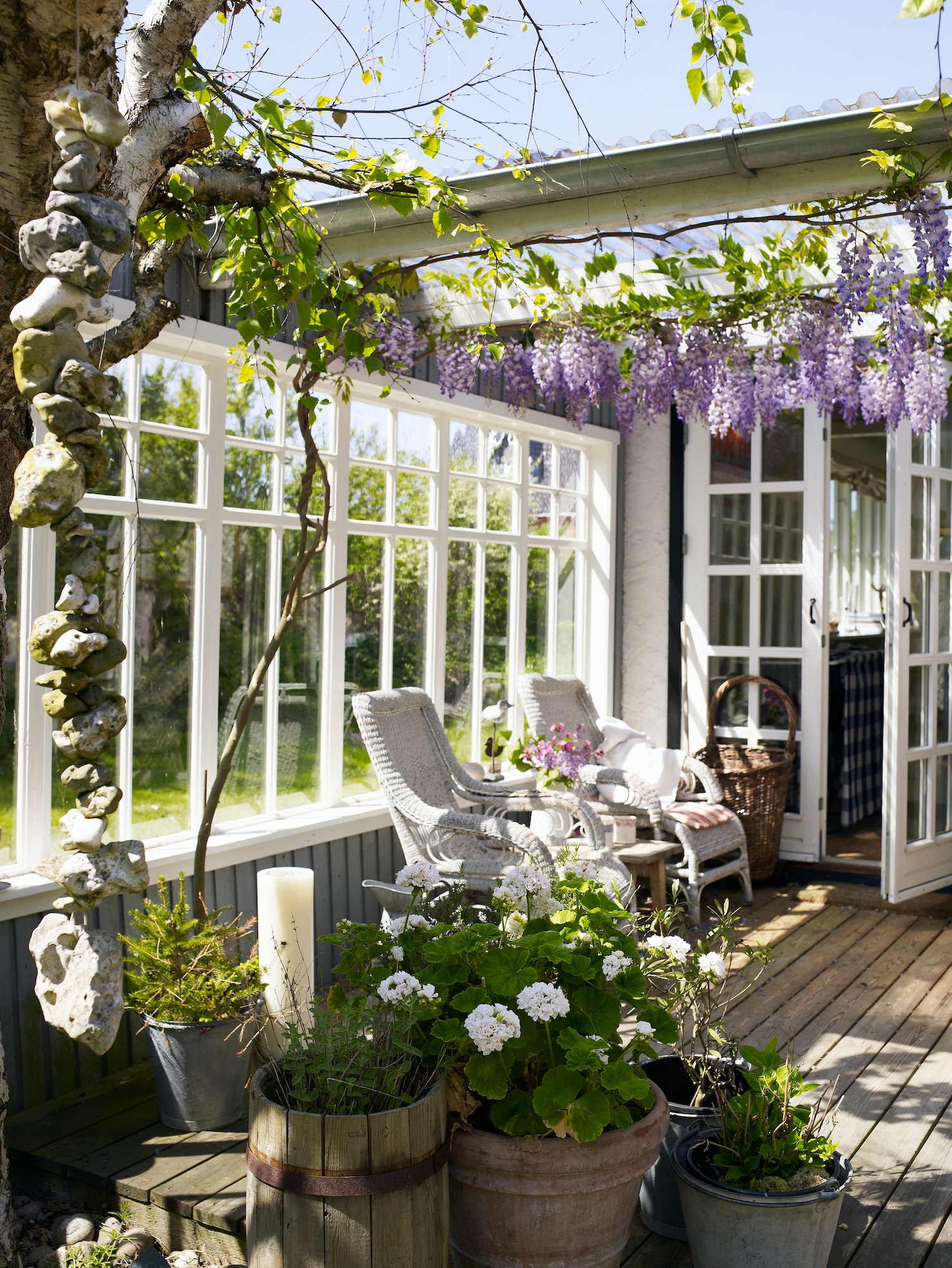 Wicker chairs and purple wisteria blossoms on patio
