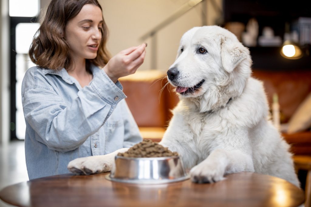 Woman feeding a dog with dry food