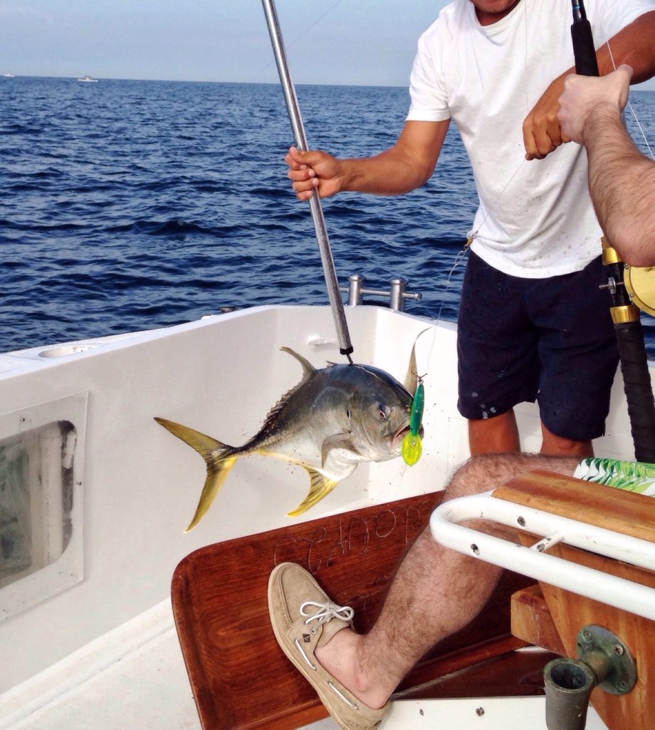 Yellow fin tuna fishing