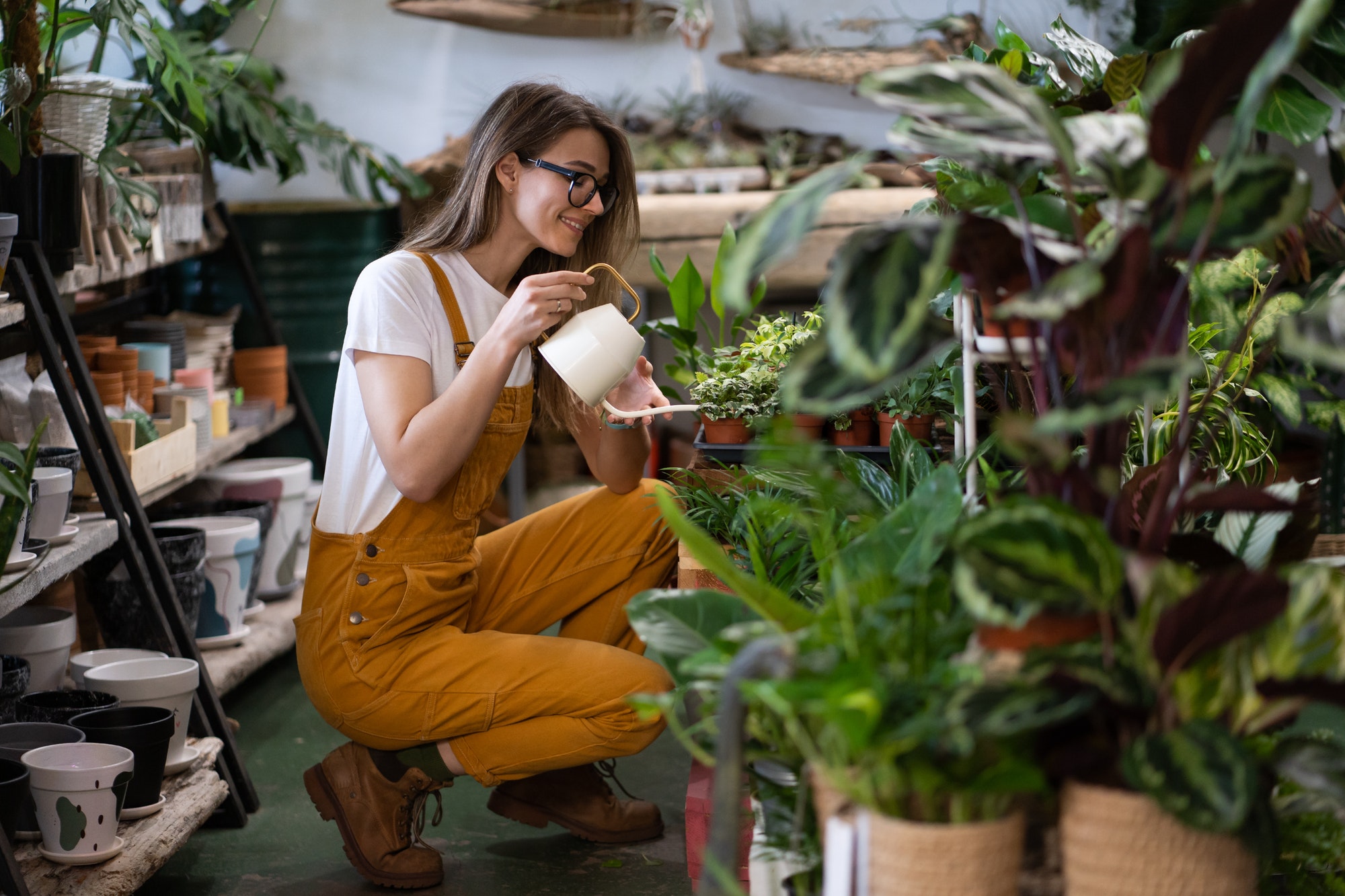 Woman gardener in orange overalls watering potted houseplant in greenhouse. Small business.