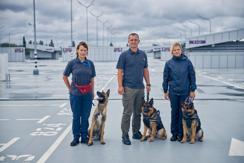 Security guards with police dogs standing in airfield