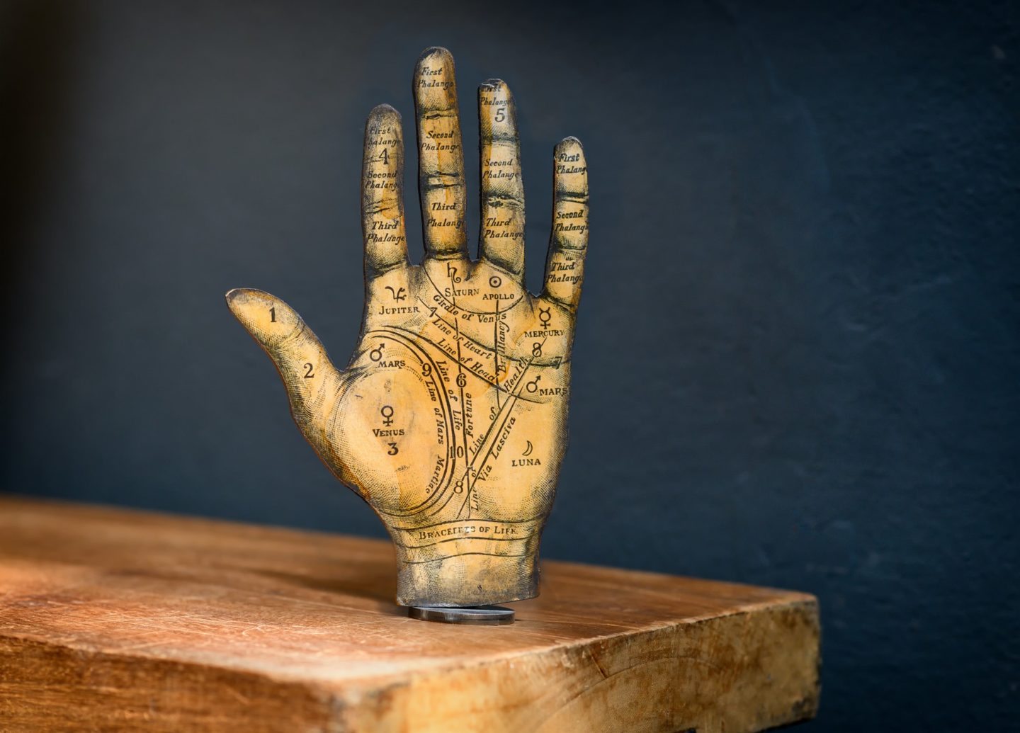 Old Tarot hand showing the zones of the palm