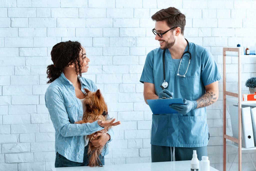Veterinarian and pet owner with Yorkshire terrier at medical office