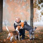 Woman with siberian husky puppy and beagle dog for a walk in the city autumn park