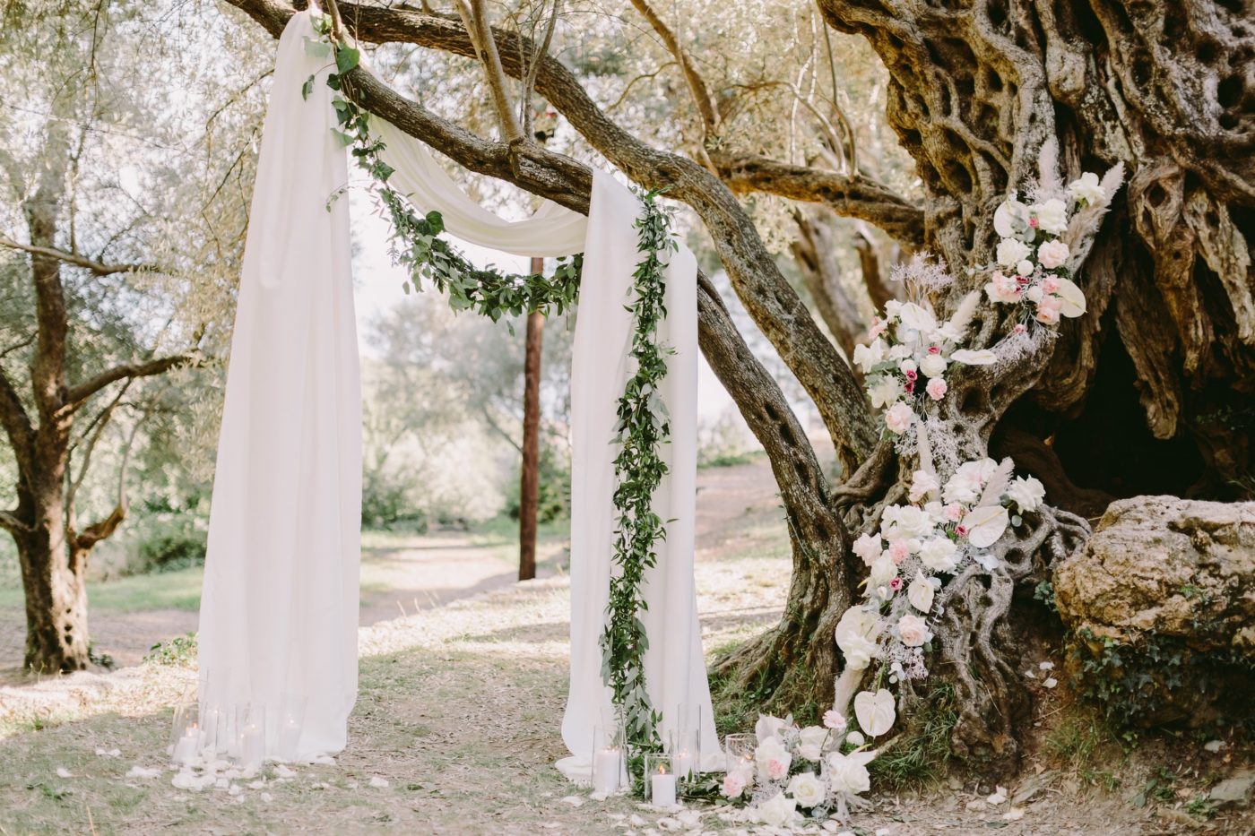 elegant wedding arch in olive trees park