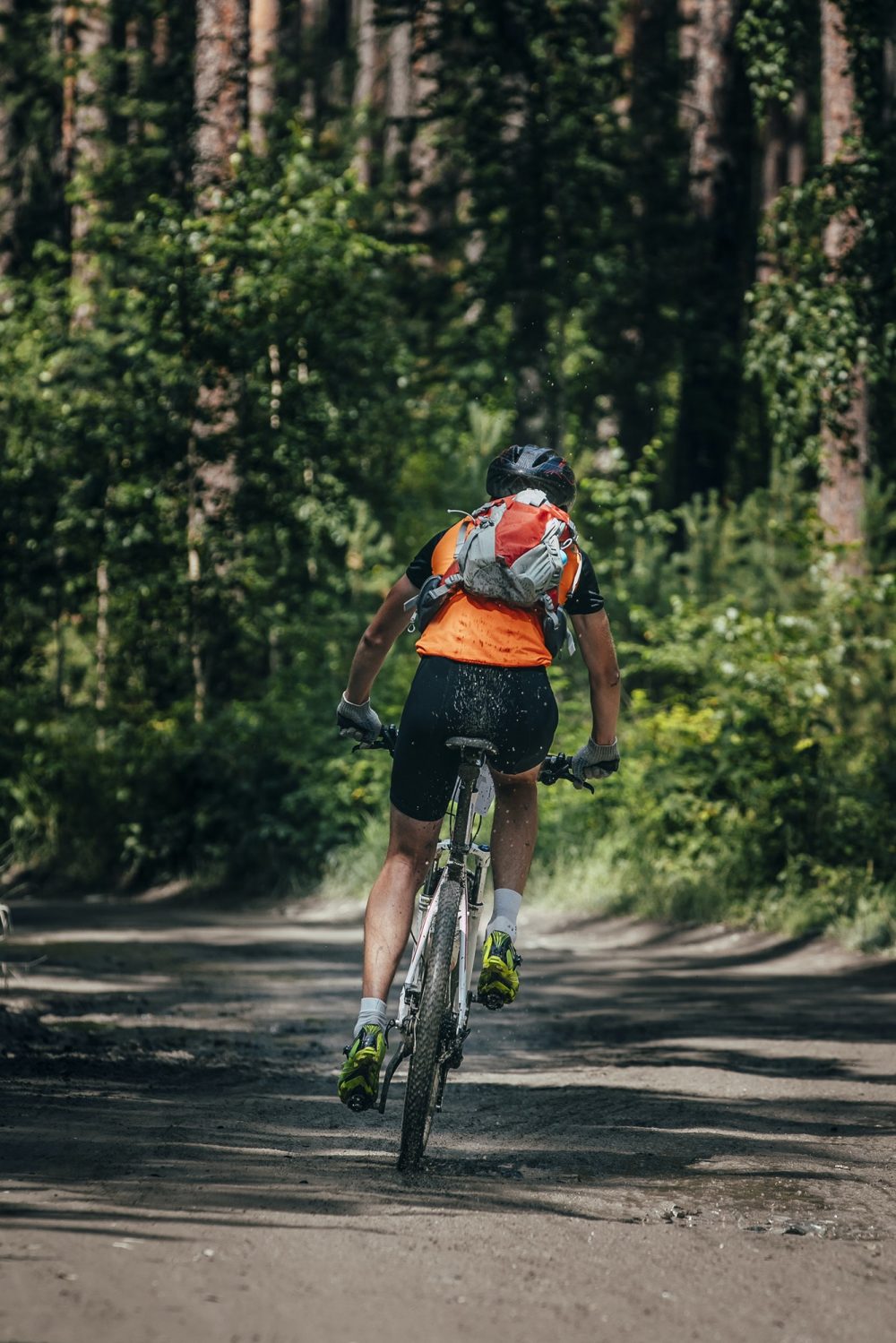 Mountainbiker rides in forest