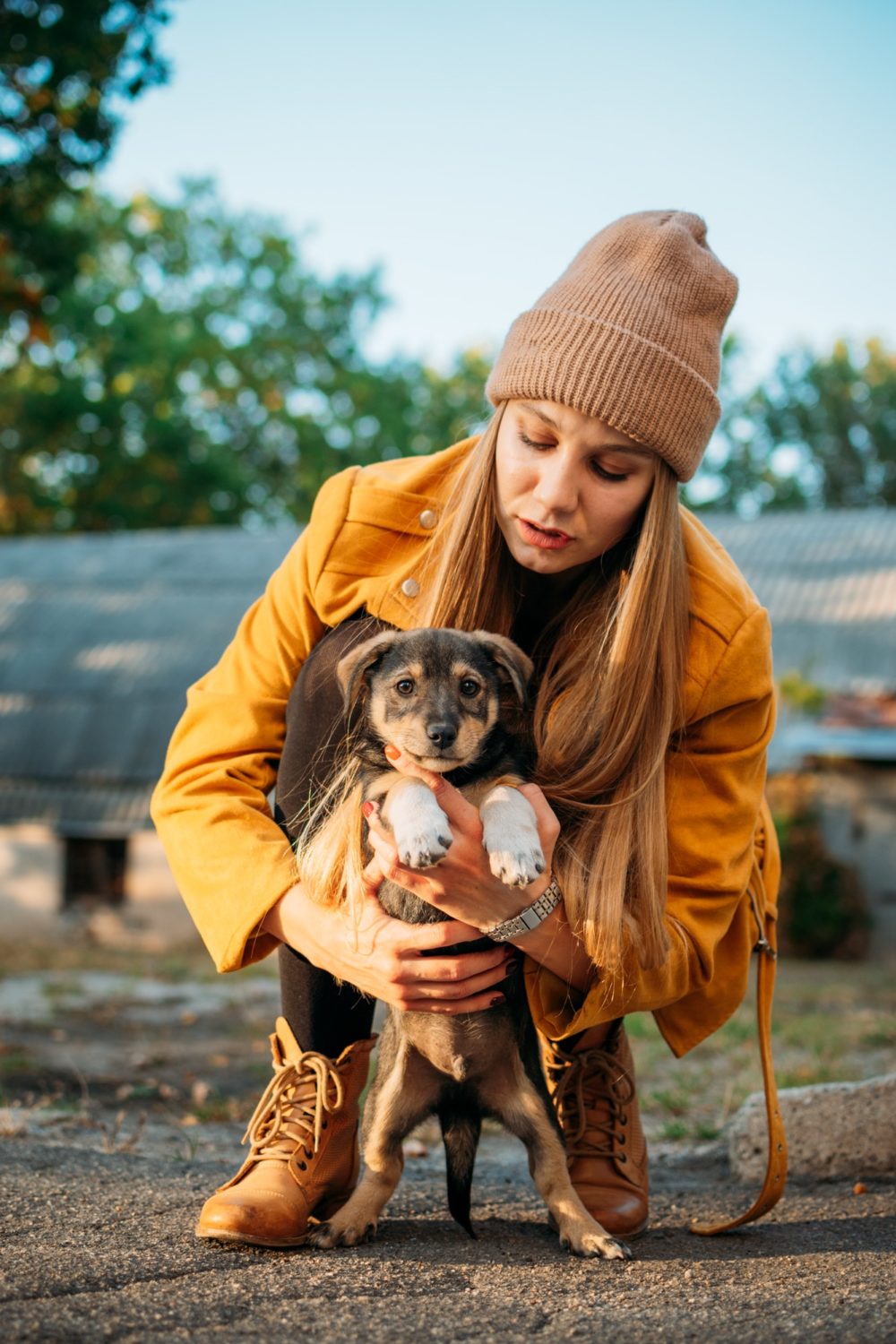 Woman Volunteer meeting homeless dog puppies in fall nature background. Pet love, caring for pets