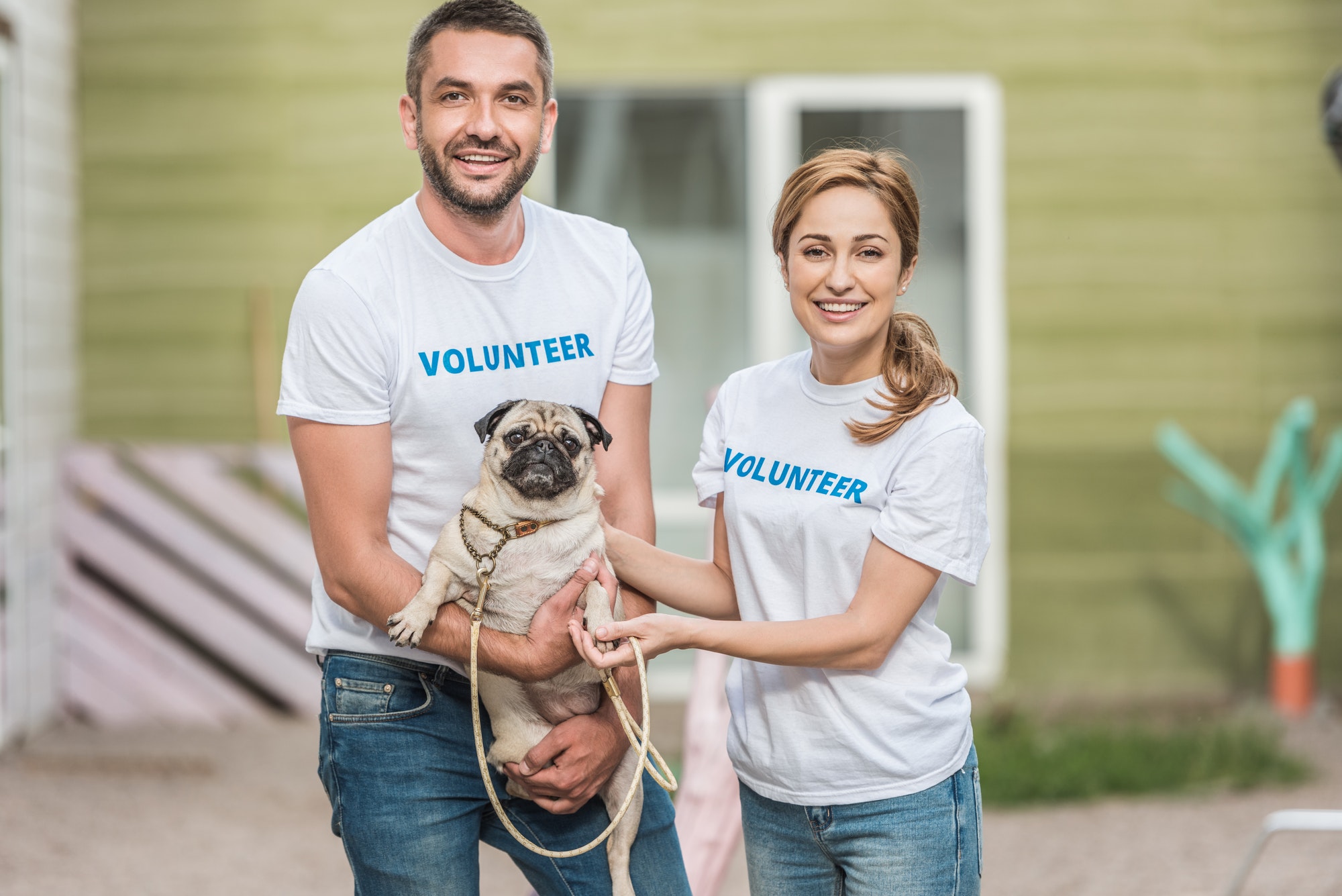 two volunteers of animals shelter holding pug dog and looking at camera