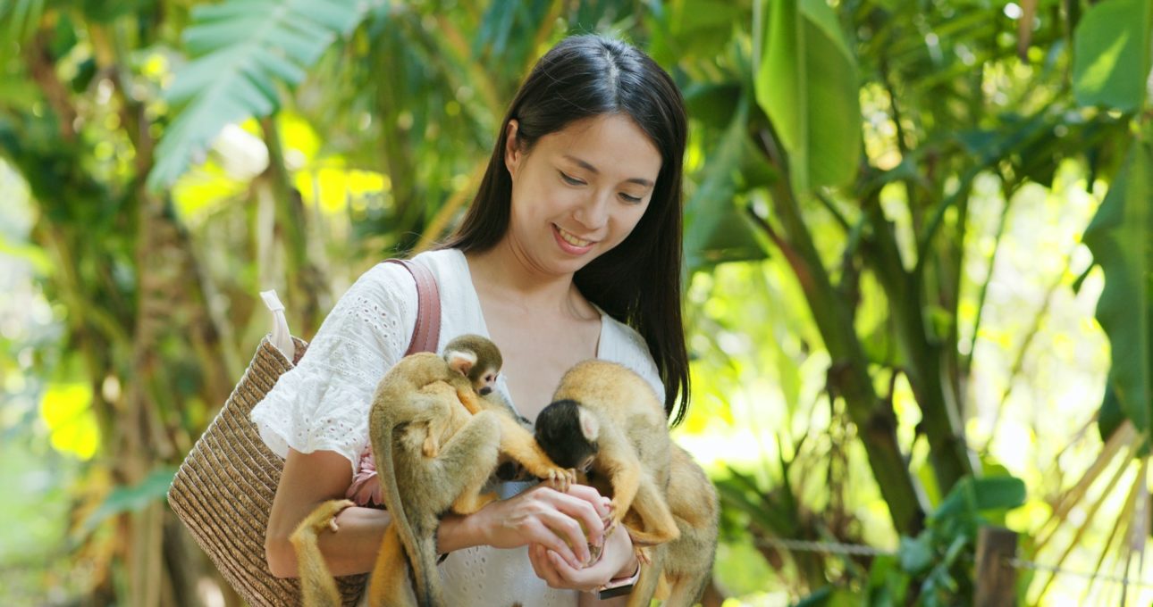 Woman feed Squirrel Monkey in zoo park